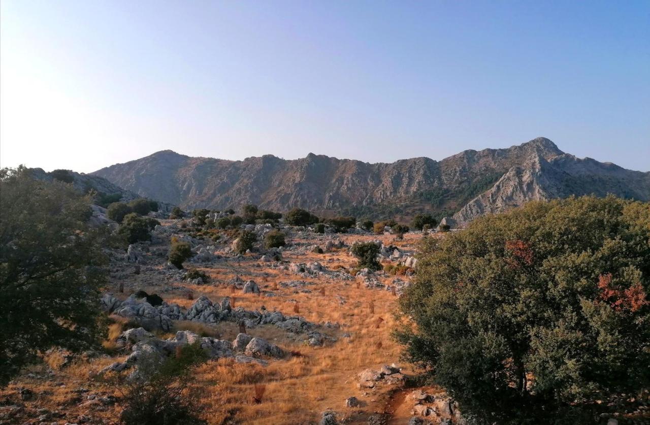 גרסלמה Casas Las Piedras De Agua מראה חיצוני תמונה